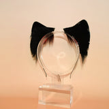 ‘Seeing Stars’ Feline