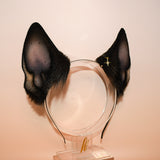 Belgian Malinois (Prototype)