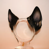 Belgian Malinois (Prototype)