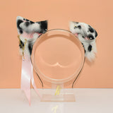 Dalmatian Terrier Pup