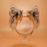 Closed! - ‘Spring Blush’ Husky