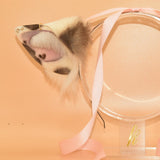 Tie! Awaiting Reply! ~ Caramel Spot Cow
