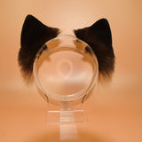 Closed! - Siamese Feline