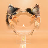 Closed! ~ Calico Feline