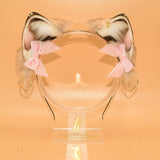 Petite Bows - 1st Gen. Velvet Collection