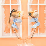 Awaiting Closure - Dilute Calico Petites
